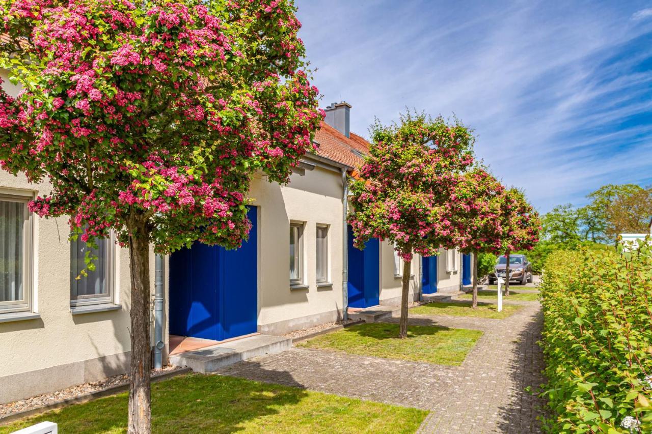 Apartment Biber Mit Terrasse Dewichow Exteriör bild